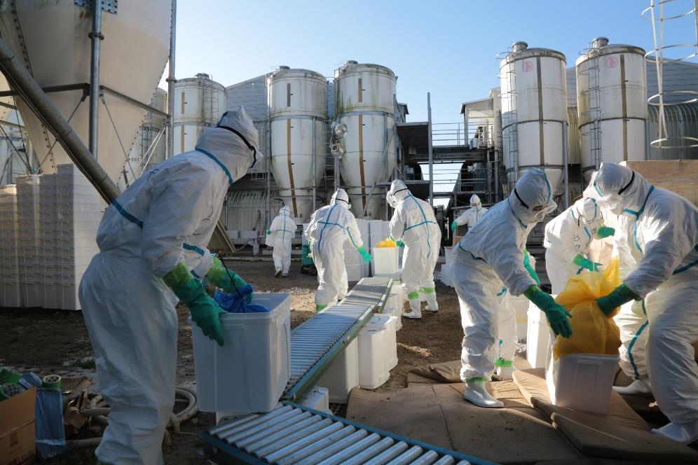 【希少】第11空挺師団 仙台駐留 横須賀ジャンパー 横須賀ジャンパー（スカジャン） 第11空挺師団 仙台駐留 ミリタリー