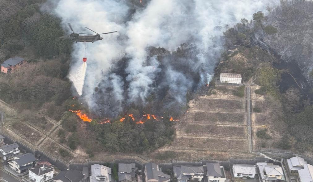 風林火山 西日本阪 芸術審査 送料込み 52.jpg